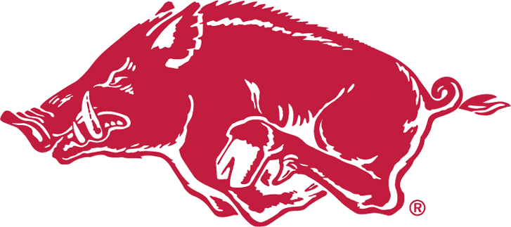 Arkansas Razorbacks 1967-2000 Alternate Logo 03 iron on paper